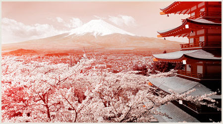 50 素晴らしい正月 壁紙 Pc 花の画像