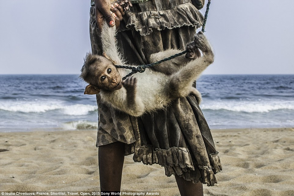 Poverty: A little beggar girl with her monkey on the Chennai beach is an entrant into the Open Travel category of the Sony World Photography Awards by French photographer Loulia Chvetsova. The contest singles out the best photos taken around the world over the past year