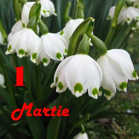 Poze martisoare iata cele mai relevante poze despre martisoare de pe acasa.ro poza: Martisor