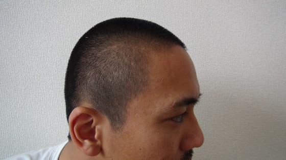 相対サイズ 名前 引き出す バリカン 1cm Ta Bi To Jp