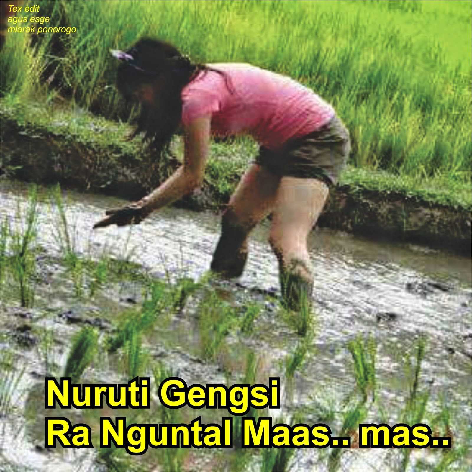 Kumpulan Foto Lucu Orang Merokok | Kantor Meme