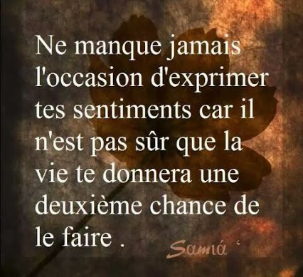 Citation Sur La Vie Et Lamour Impossible Best Citations D Amour