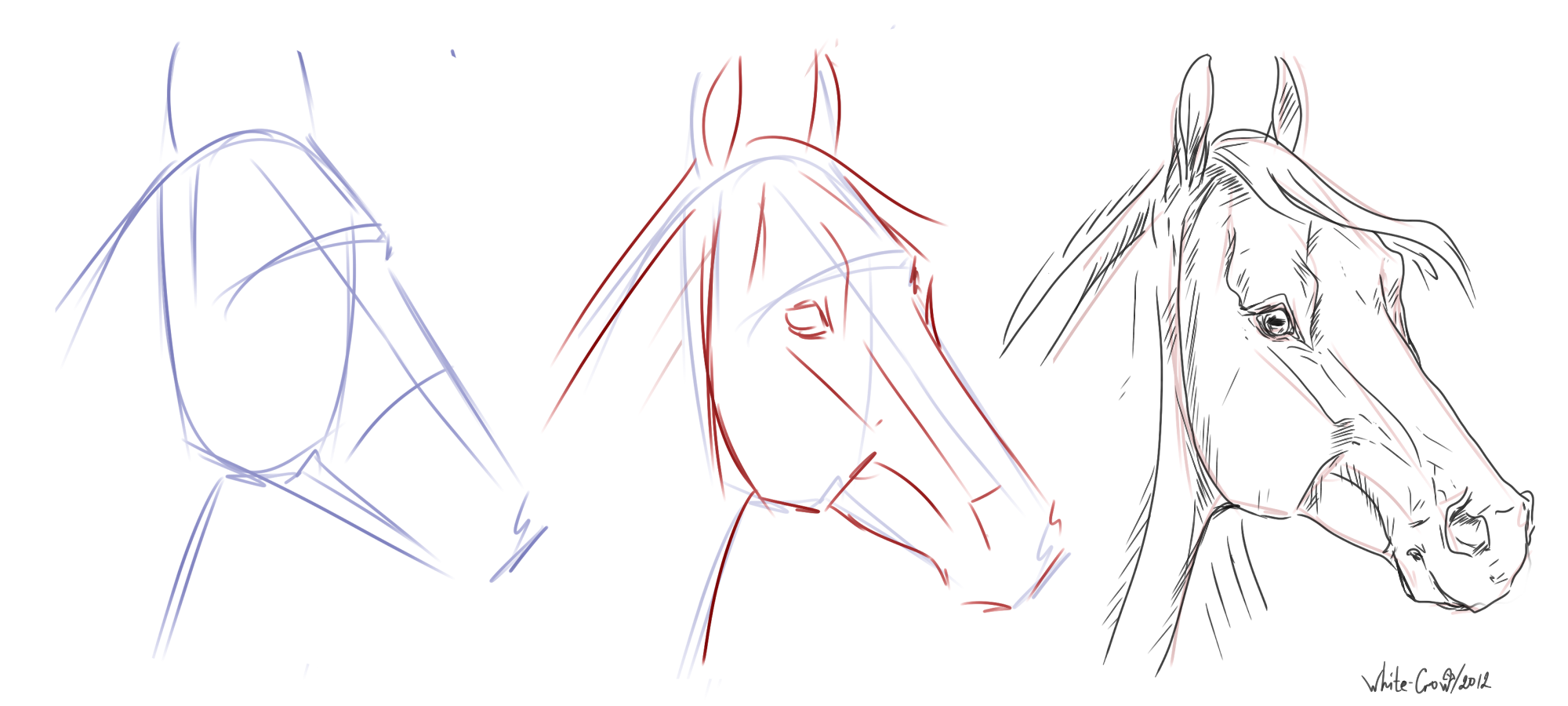 First you'll need to give your horse a back. Clip Art Library