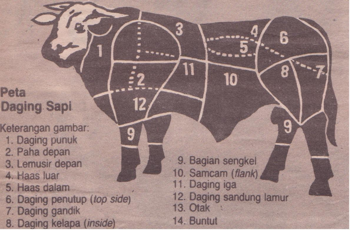 Kumpulan Foto Lucu Ngapak Kantor Meme