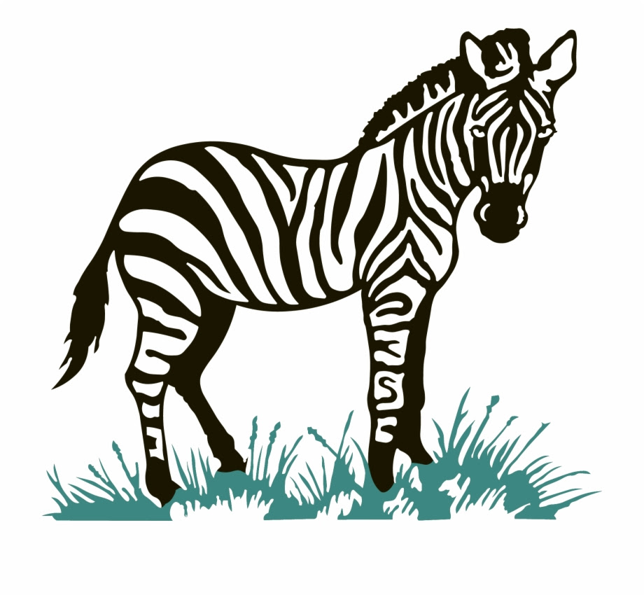 27+ Download Gambar Kartun Zebra - Gambar Kartun HD