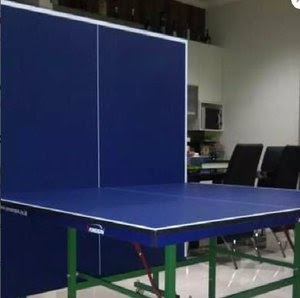  Harga  Meja  Pingpong Power Spin 200  I Soalan