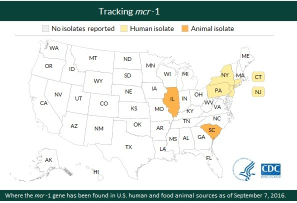 Tracking the mcr-1 gene