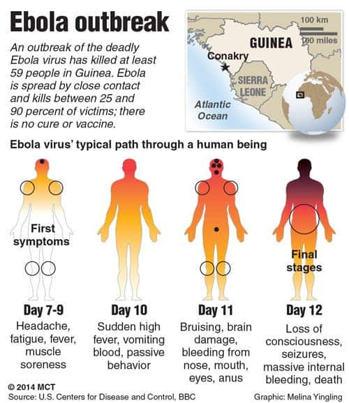 <b>Ebola</b> <b>Outbreak</b> Source Revealed