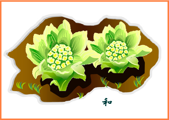 すべての動物の画像 新鮮なふきのとう イラスト 無料