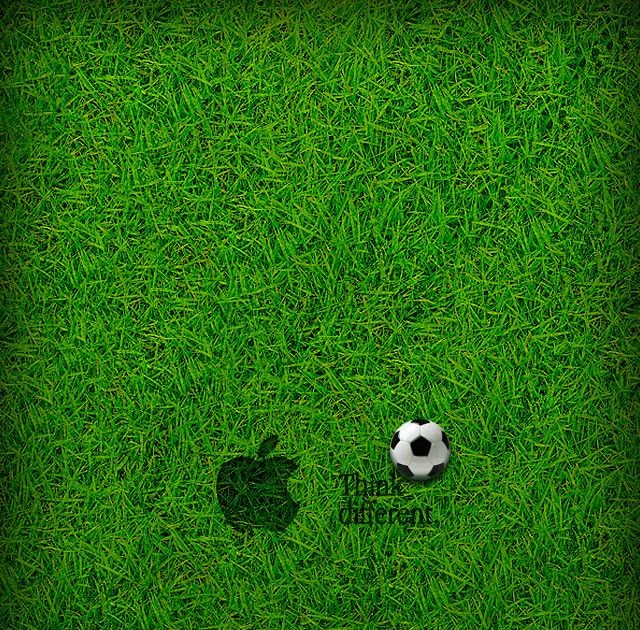 トップ100 壁紙 サッカー ボール 芝生 すべての美しい花の画像