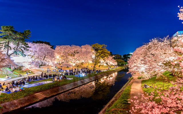 Ini 5 tempat wisata jepang di. 7 Spot Paling Populer Lihat Bunga Sakura Di Jepang