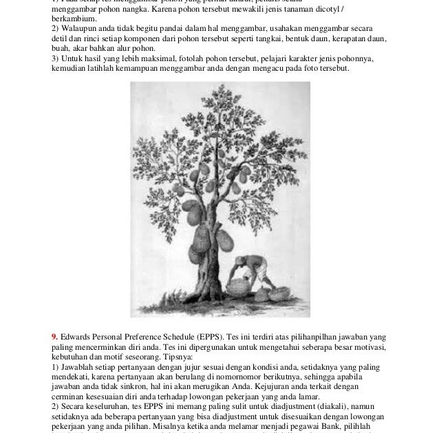 Soal Psikotes Gambar Pohon Dan Manusia Kunci Ujian