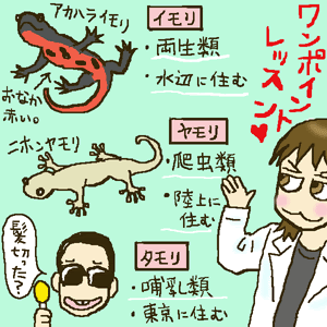 Japan Image イモリ ヤモリ 何類