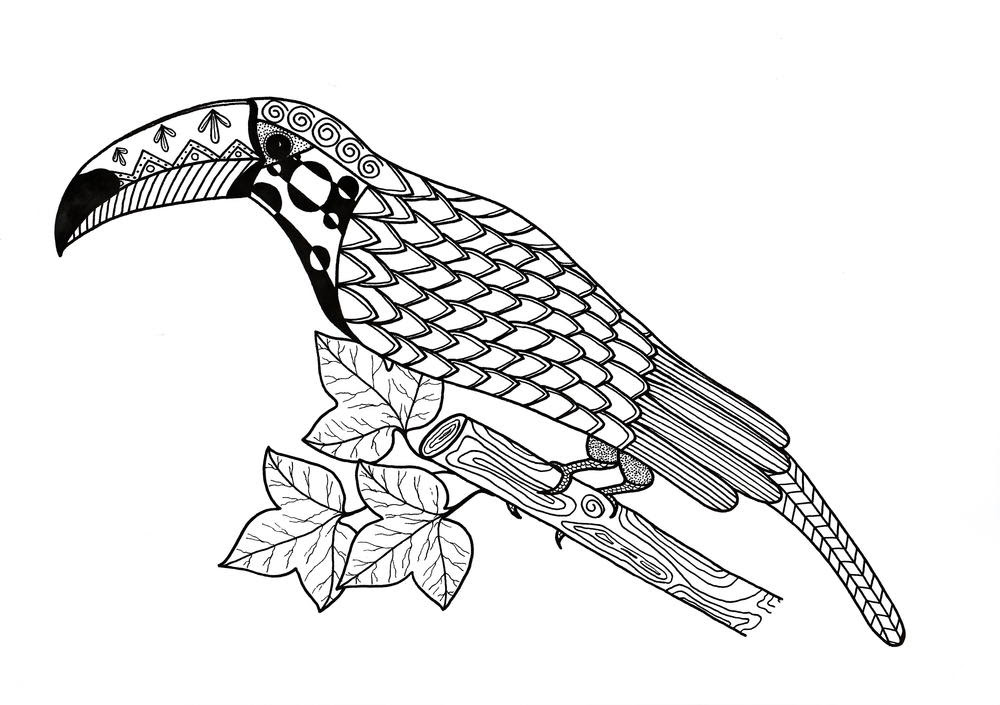 We did not find results for: Toucan Coloring Page Favecrafts Com