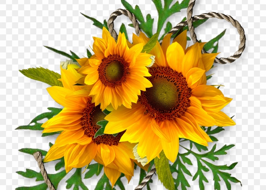 Free Free 81 Sunflower Bouquet Svg SVG PNG EPS DXF File