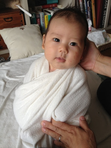 すべてのカタログ 驚くばかり 胎児 頭 でかい