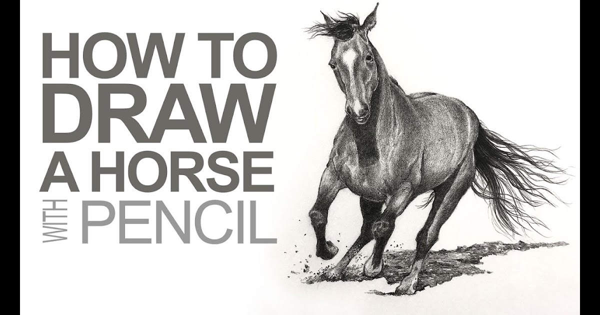How To Draw A Mustang Horse / How To Draw Horses - Spangler Thertions