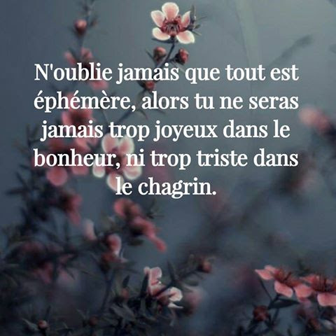 Citation Amour Noublie Jamais Best Citations D Amour