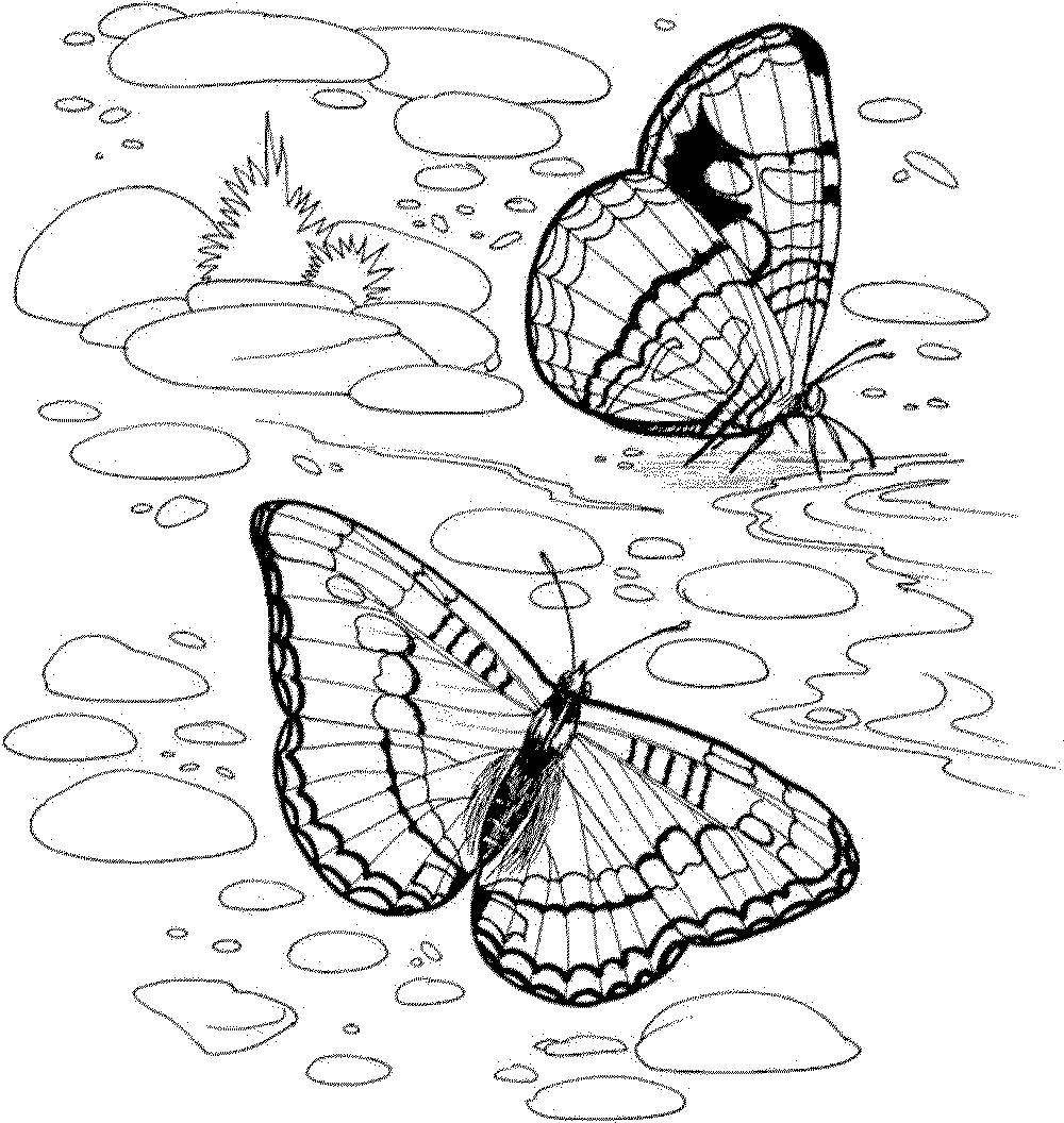 Nature Coloring Pages To Download And Print For Free Coloring Pages