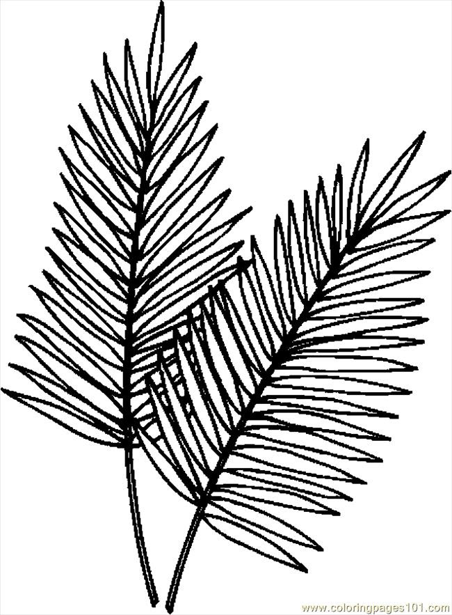This helps them to collect various sizes, texture of each plant. Colour In Palm Leaves Clip Art Library