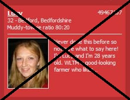 Flirty messages it's okay to lead with a little flirtation , just be careful not to come on too strong or sound like all you're after is a physical relationship. What Not To Write In Your Online Dating Profile