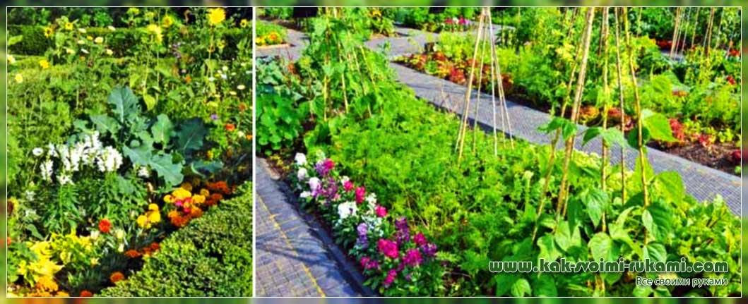 30+ Trends Ideas Halamang Ornamental Garden Drawing