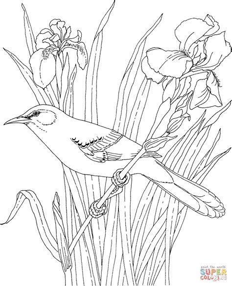 coloring pages flowers and birds  creative art
