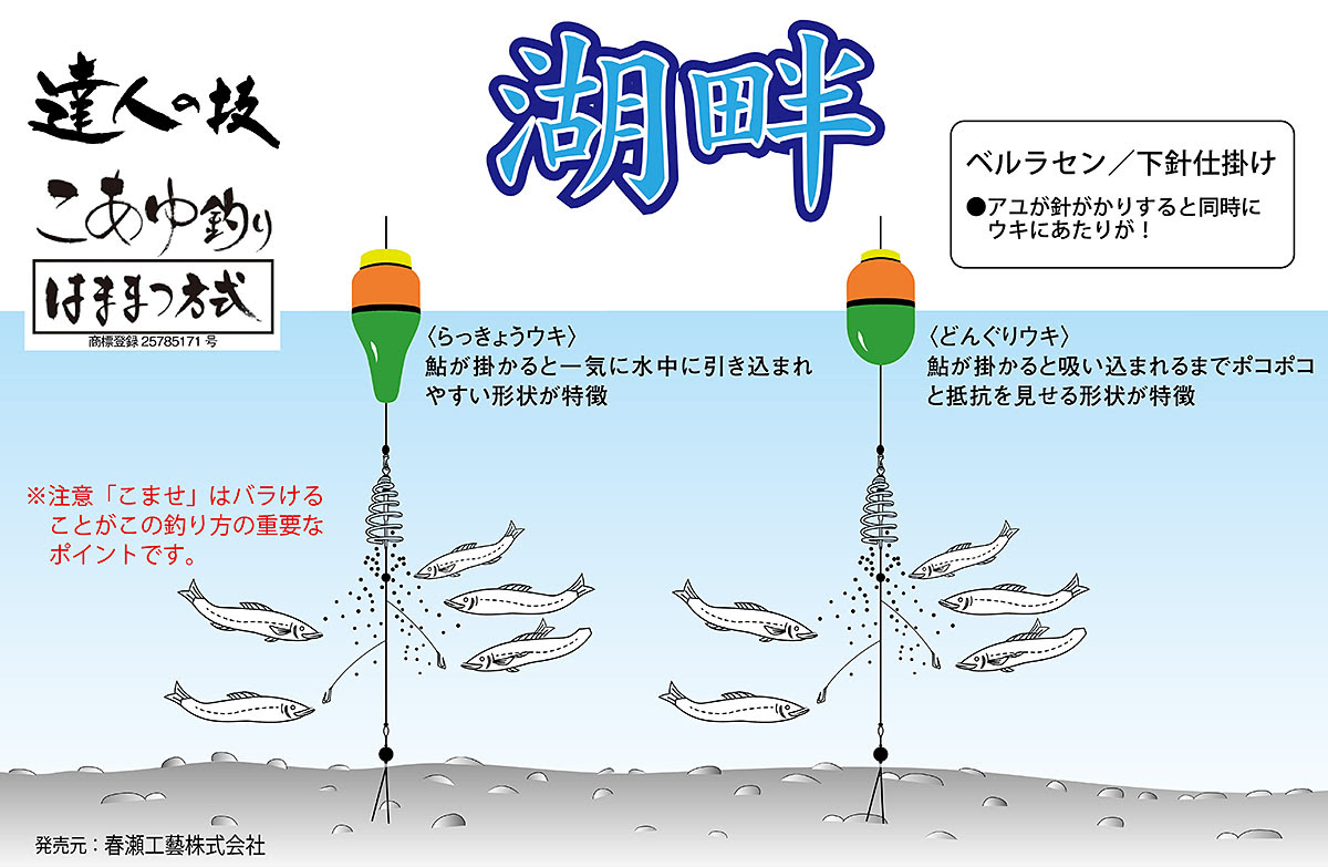 元のアユ釣り 仕掛け すべての魚の画像