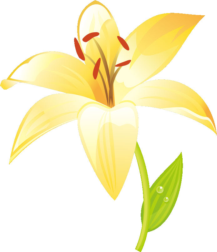 美しい花の画像 トップ100 ゆりの花 イラスト
