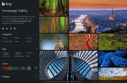 無料ダウンロードbing 壁紙 日替わり 最高の花の画像
