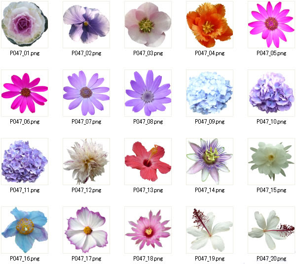 ベスト50 花 コラージュ 素材 フリー 全イラスト集