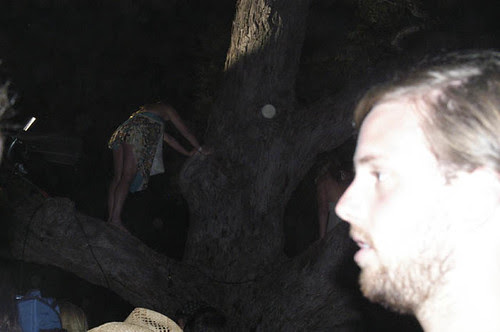 treelovinhippies