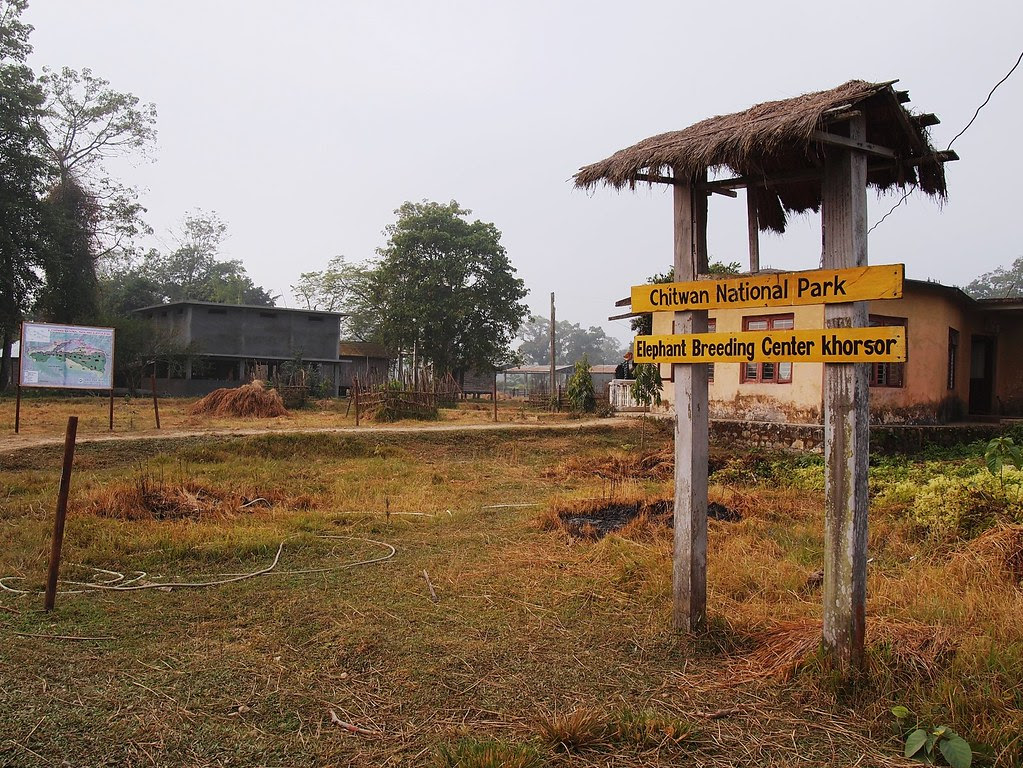 chitwan national park + elephant breeding center