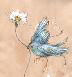 動物画像のすべて 簡単 鳥 イラスト リアル