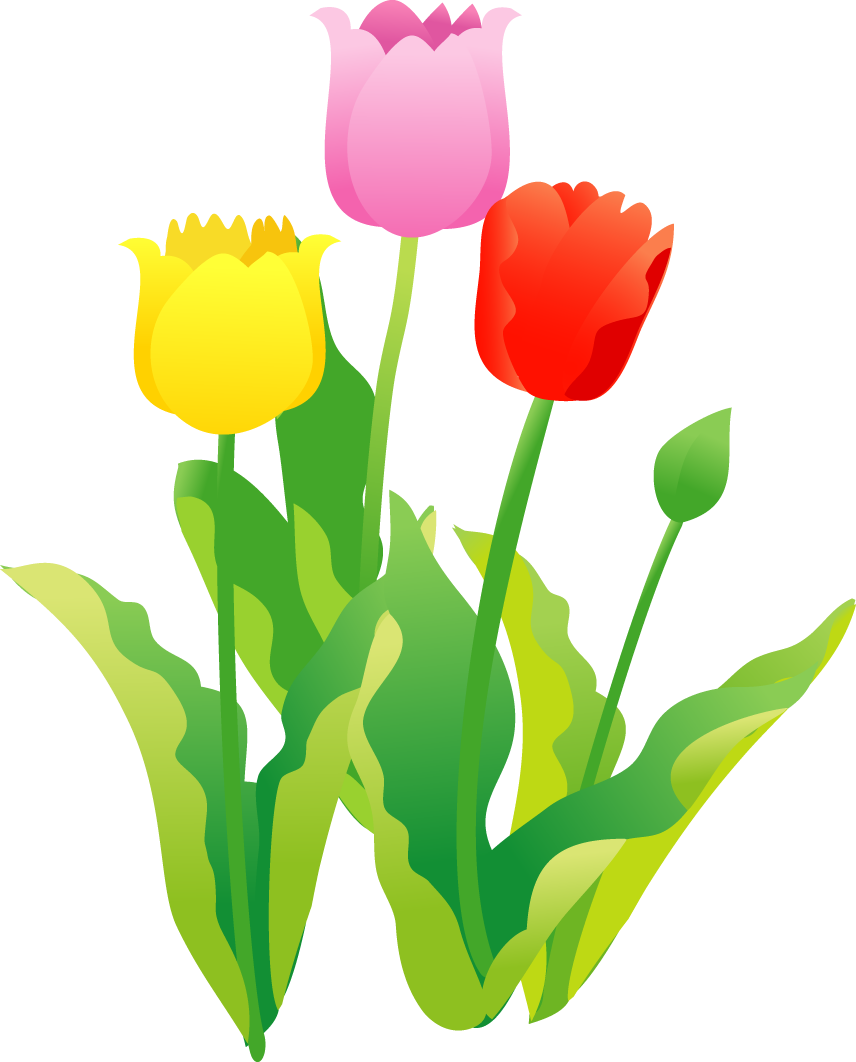 美しい花の画像 最高4月の花 イラスト