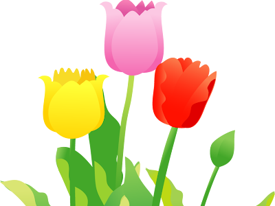 美しい花の画像 4月の花 イラスト 無料
