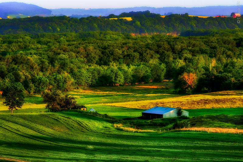 Pastoral dawn