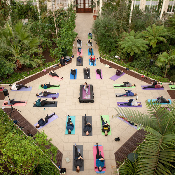 Yoga in the Temperate House