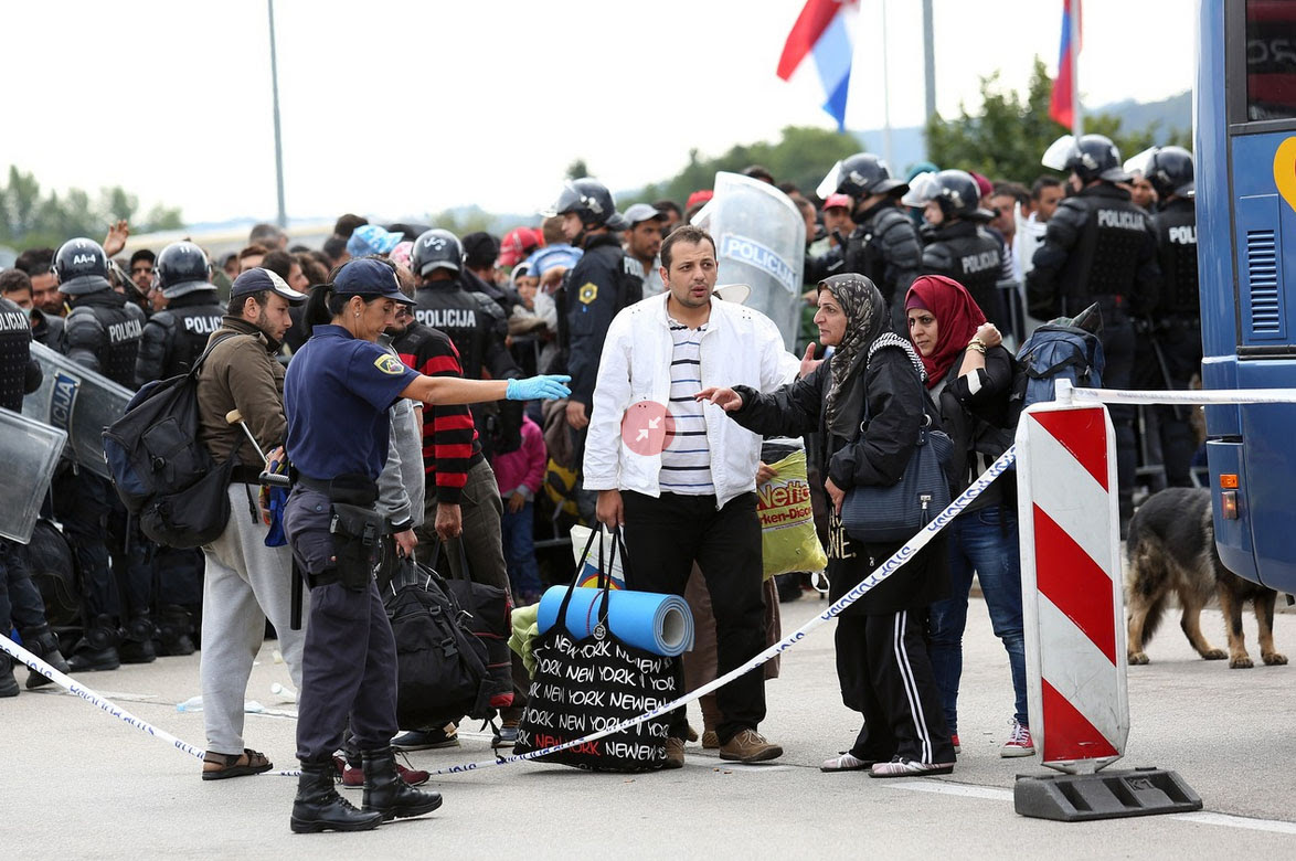 Assisting refugees onto buses in Croatia Saturday 19 September 2015