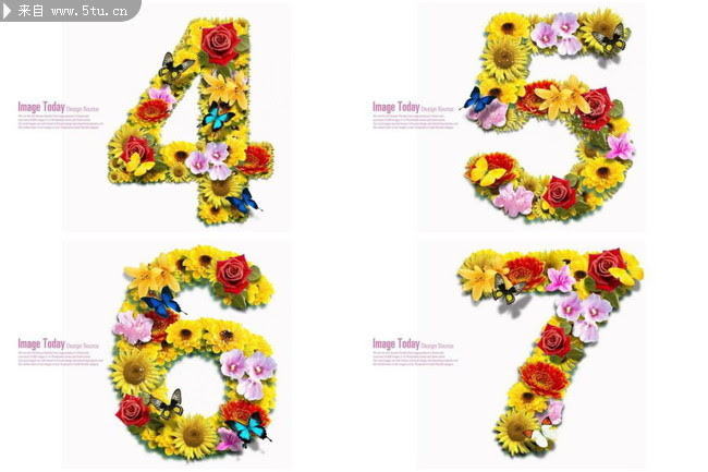 数字花3924 数字花式