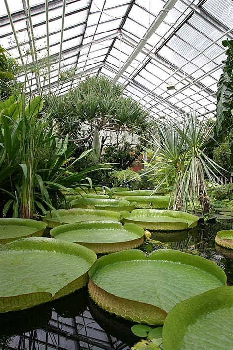 Botanischer Garten Leipzig | DE Garten