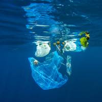 STOP PLASTIQUE : agissons ensemble pour notre santé !