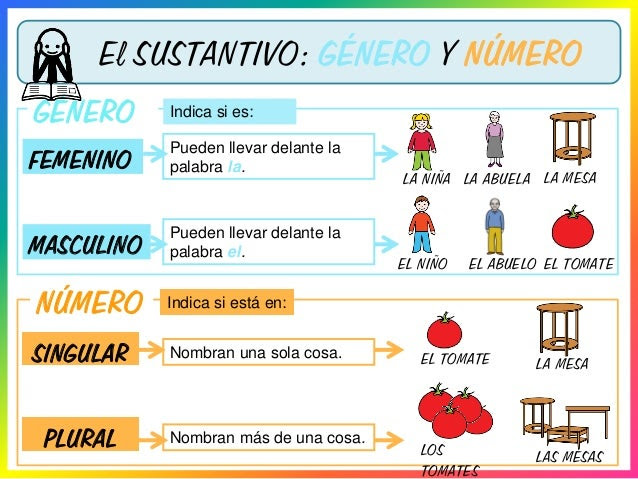 SOMOS DE MATILLAS: GÉNERO Y NÚMERO EN LOS NOMBRES