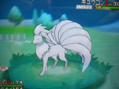 ディズニー画像のすべて これまでで最高のポケモン Xy ロコン