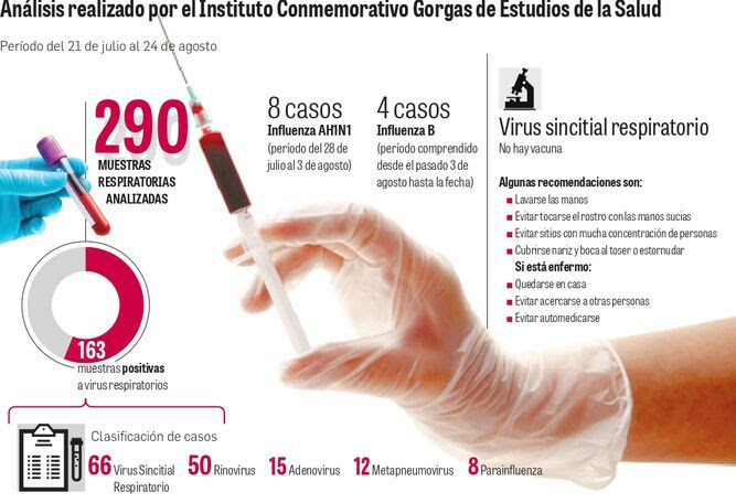Es una de las causas más frecuentes de infecciones en las vías respiratorias bajas (bronquitis o neumonía) en bebés y en niños menores de dos años de edad. Mas Muertes Por Virus Sincitial La Prensa Panama
