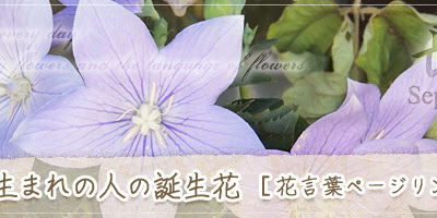 25 ++ 9月生まれ 花束 900180-9月生まれ 花束
