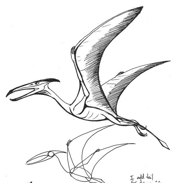 Perfect Interlude: How To Draw A Pterodactyl