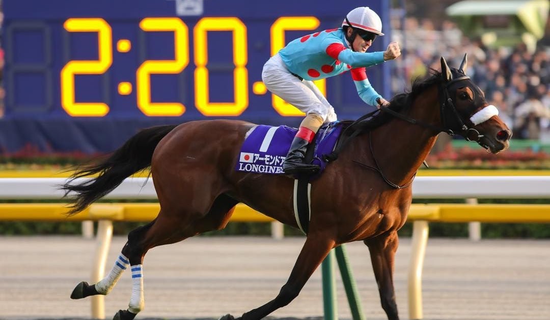 画像をダウンロード 競馬 壁紙 競馬 壁紙 Iphone