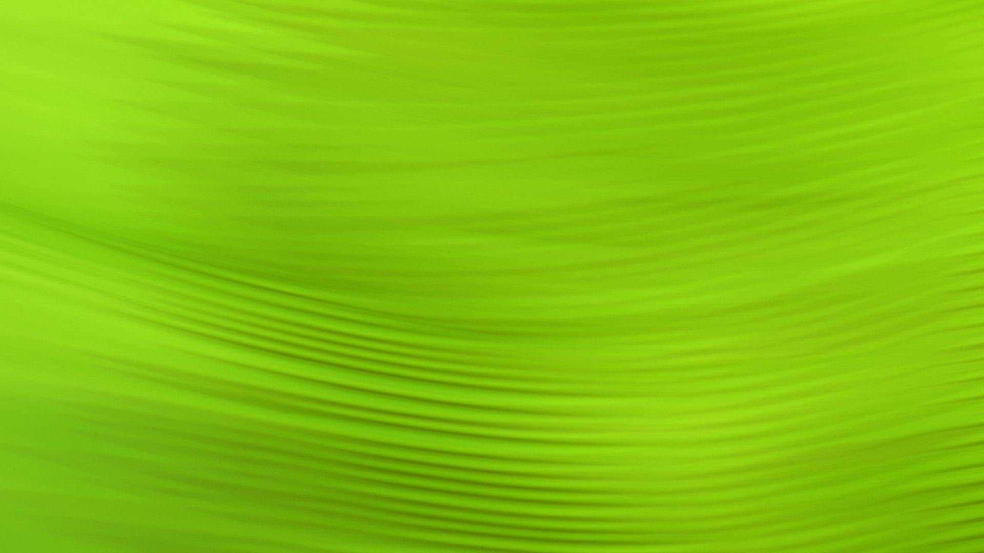 Download Background Warna  Hijau  Muda  Vina Gambar