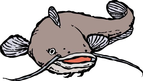 最新 ナマズ イラスト 正面